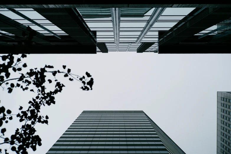 a view from ground to ground in the background