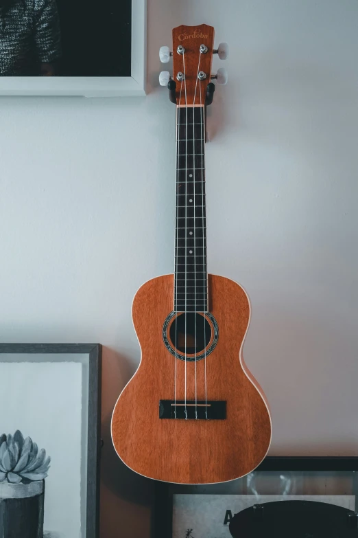 a musical instrument is hanging on the wall