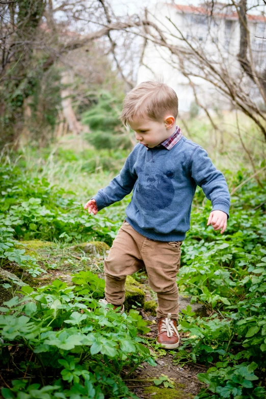 a young toddler walking in tall green grass