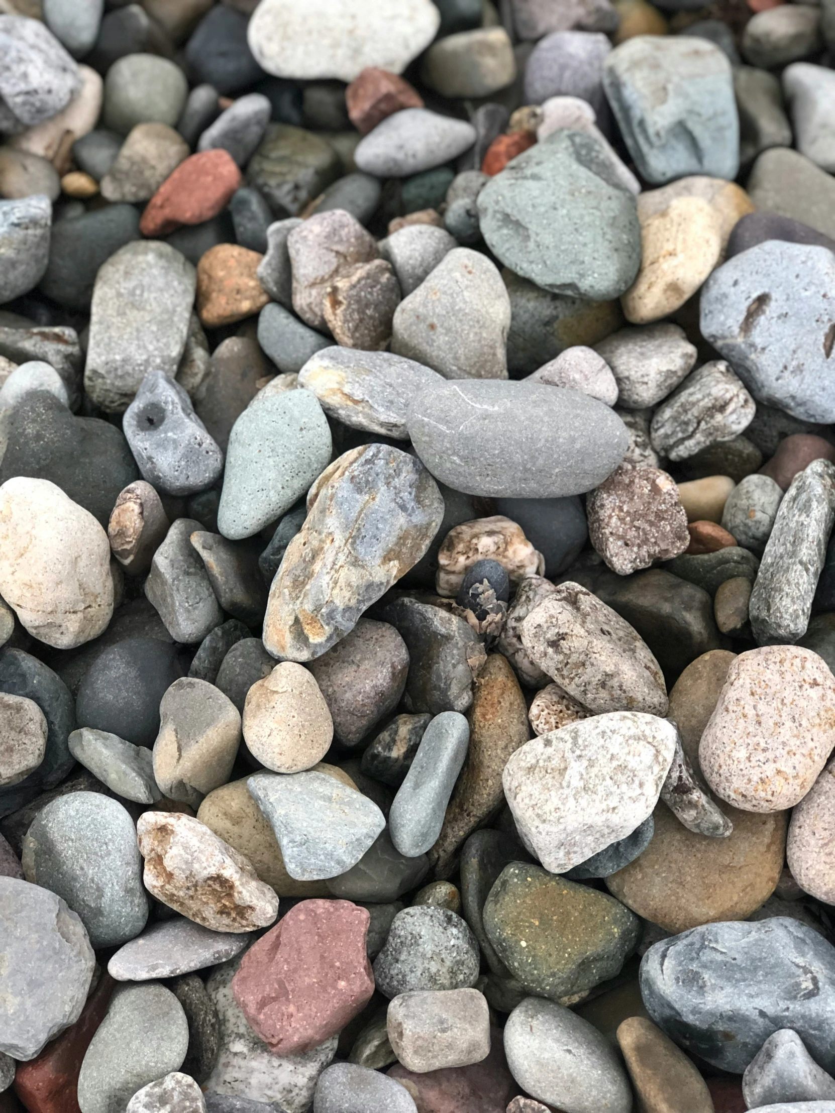 a pile of rocks on the ground by itself