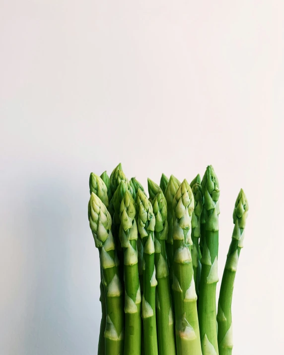 a close up of a bunch of celery