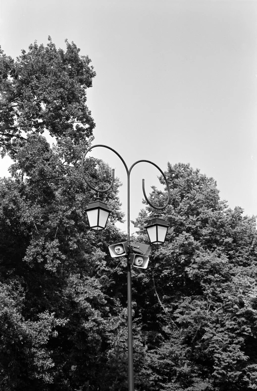 a large pole with two light lamps next to a tree