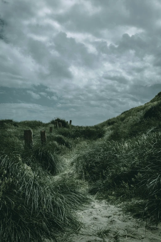 a dirt pathway with grass and rocks in it