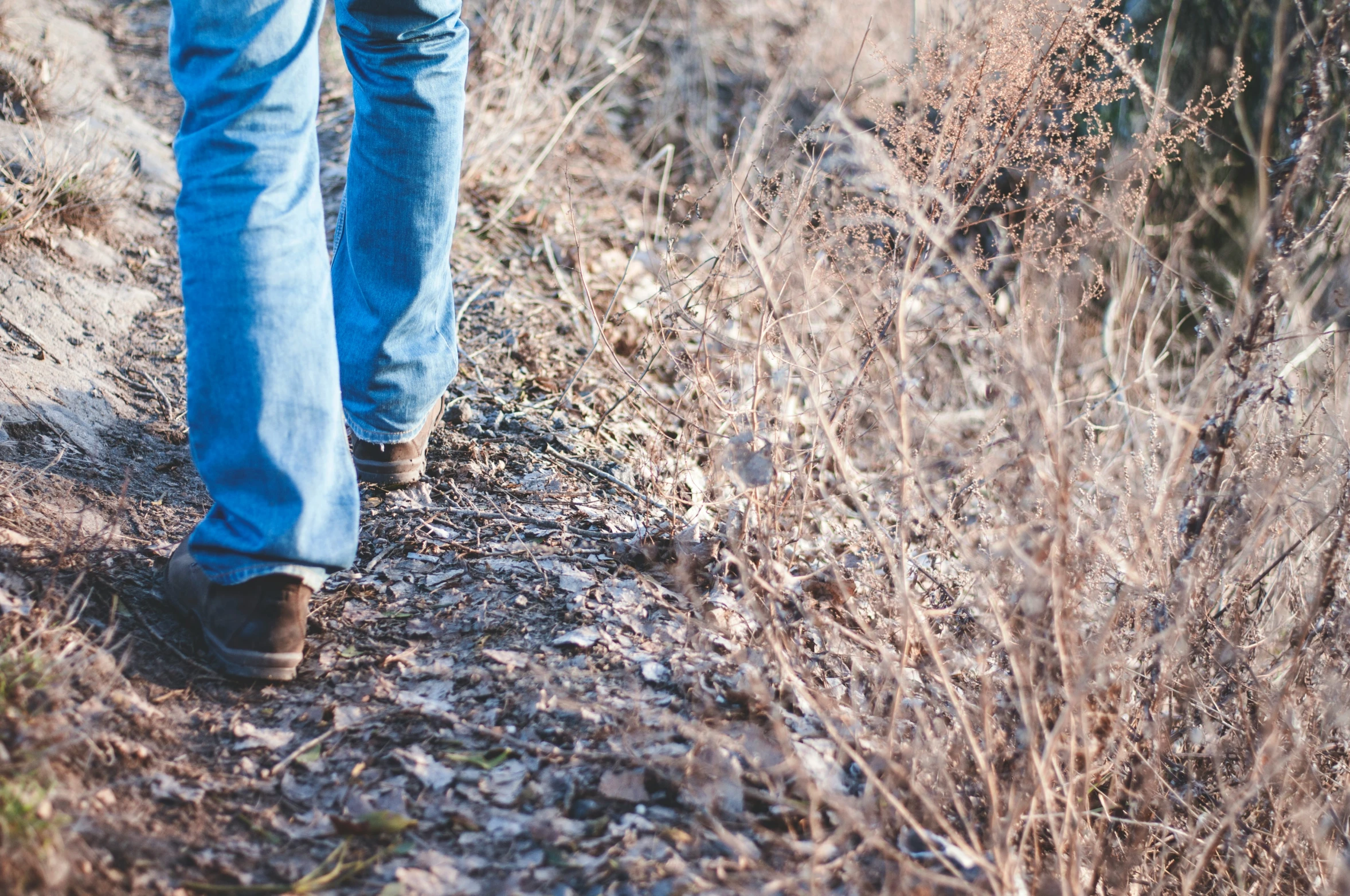 a person walking through a field of brush