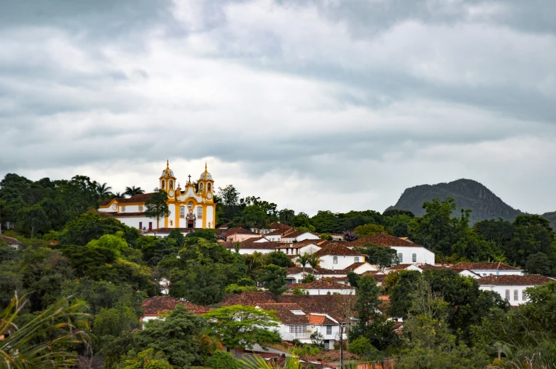 view over buildings with trees and a mountain in the background