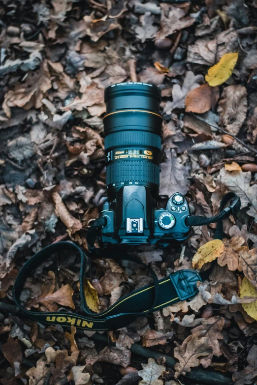 a camera sitting on a bed of leaf strewn grass