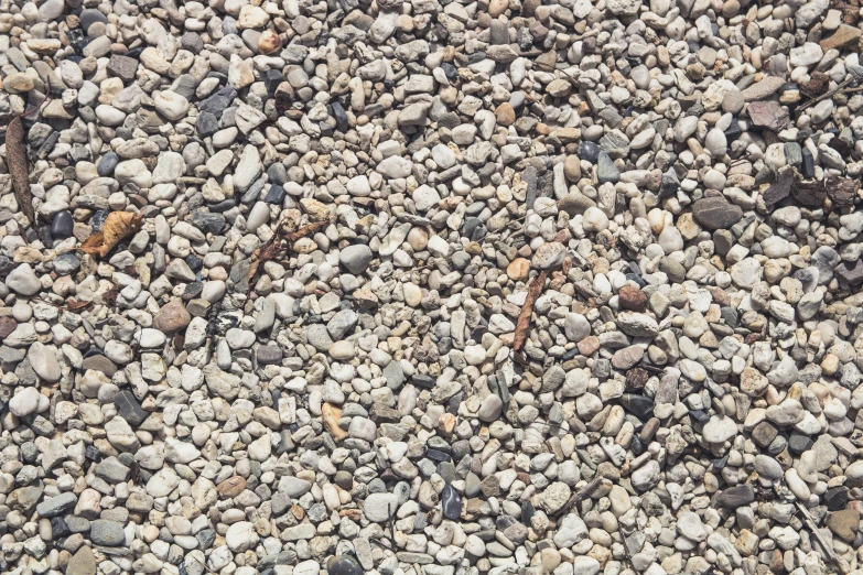 close up of small pebbles and brown twigs on an asphalt