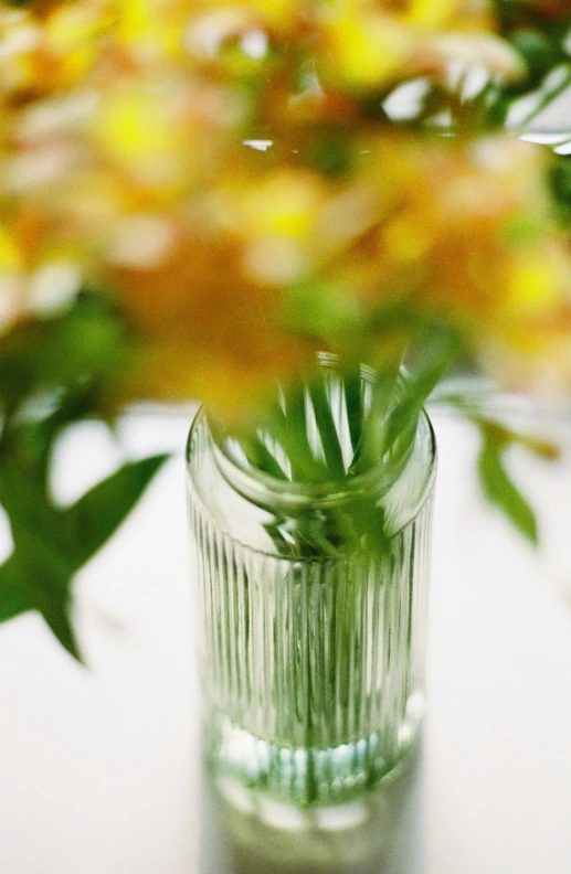 a close up s of a vase filled with water and flowers