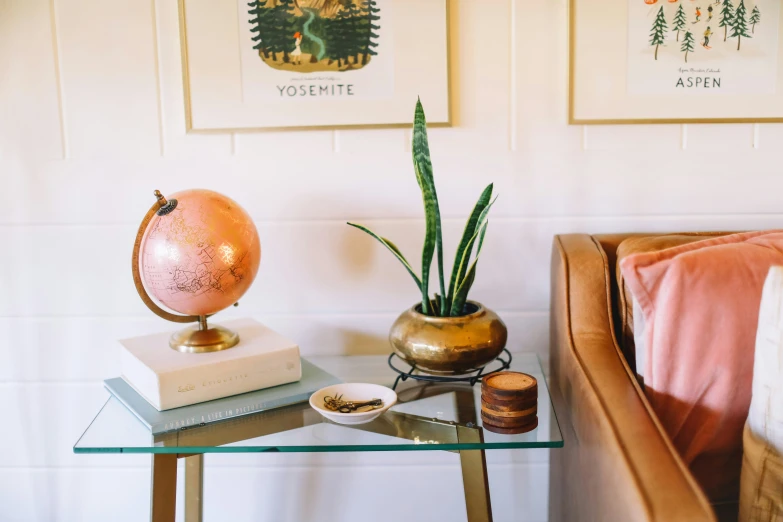 a table that has some plants on it