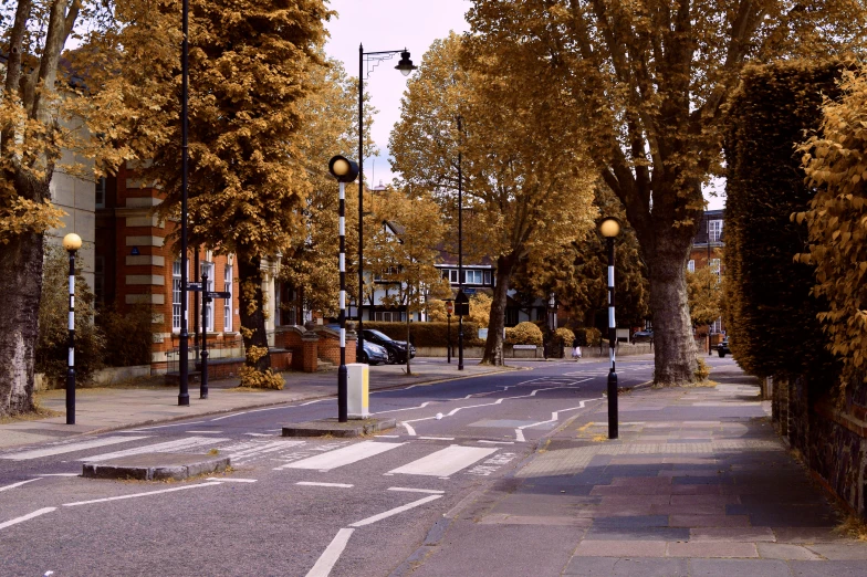 the empty street with cars on it and trees next to it