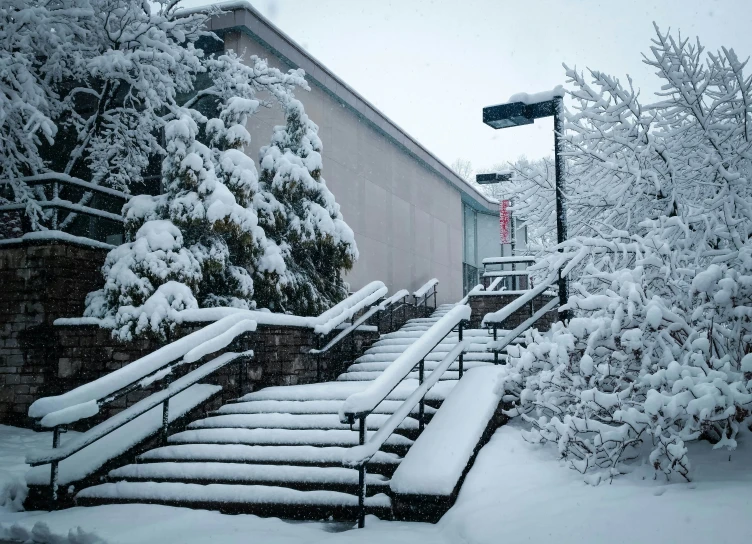 several snow covered steps and trees outside an office building