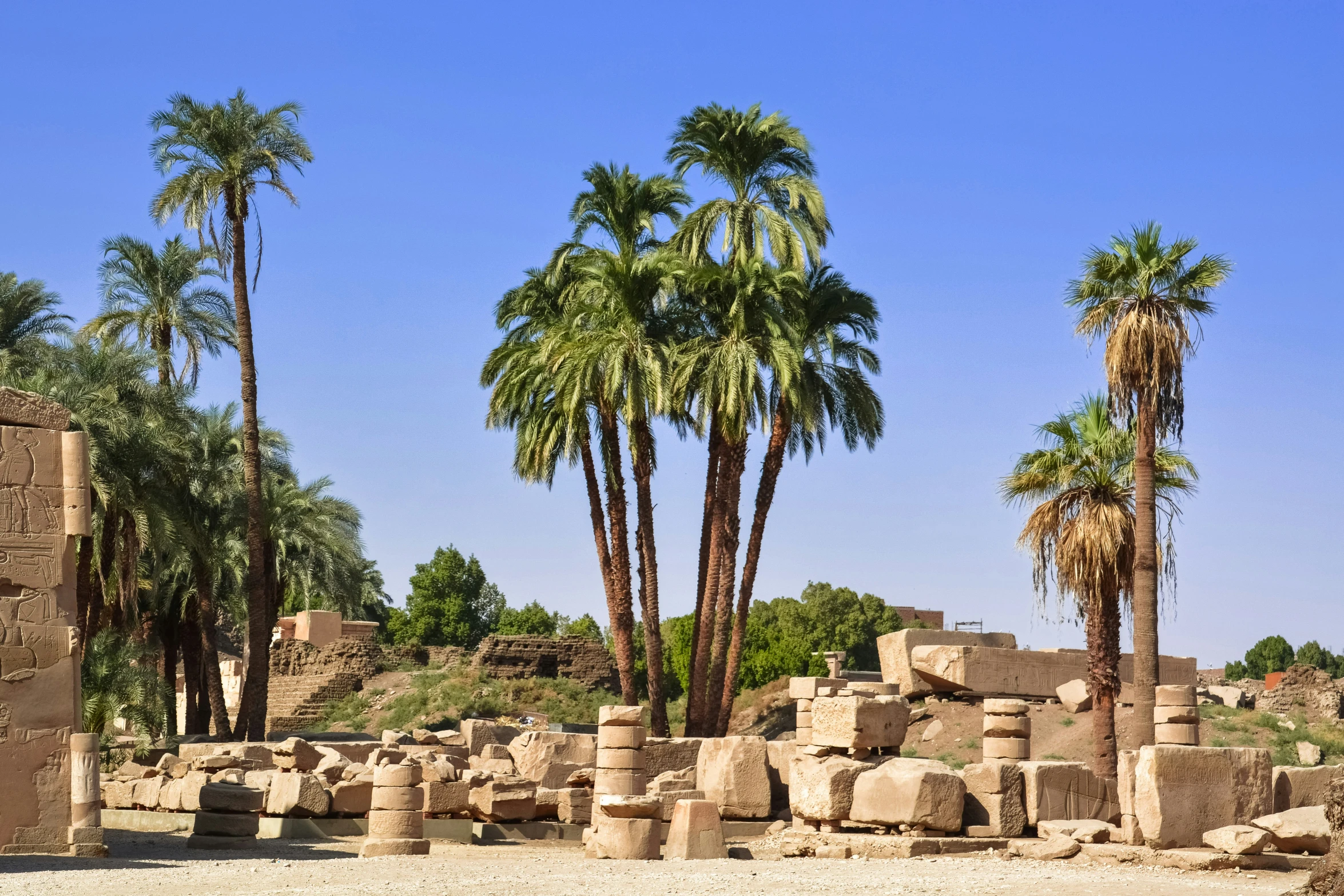 the ruins are set up with palm trees