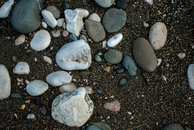 a few rocks and gravel with leaves on top