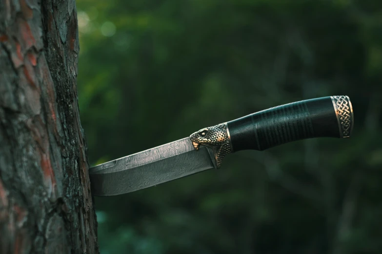 a knife stuck in the bark of a tree