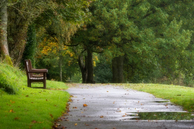 an empty wooden bench on a concrete path next to grass