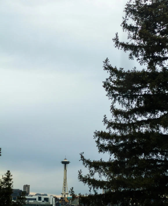 an image of trees and a tower in the background