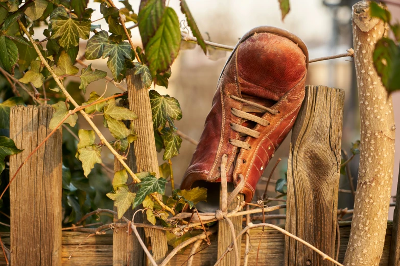 a boot with a lace on the heel sitting on top of a wooden fence