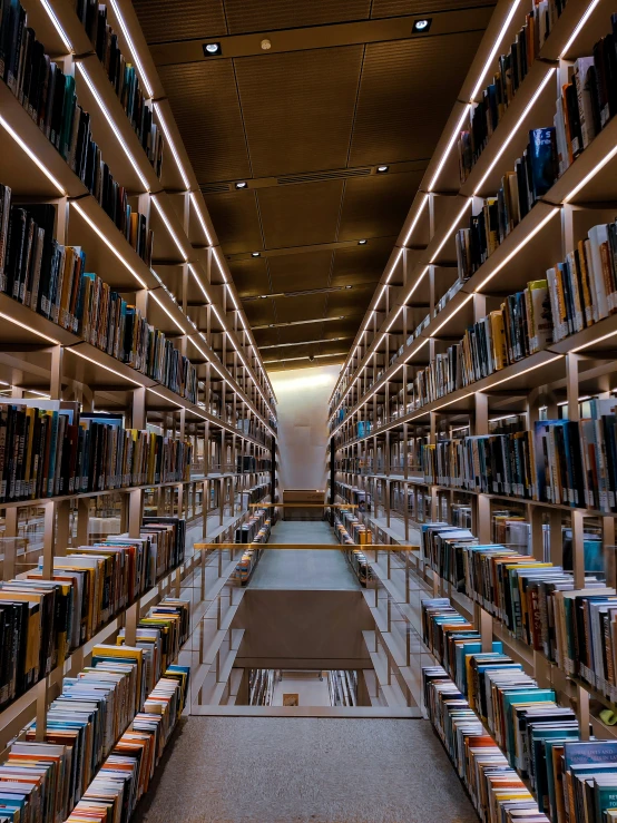 rows of books are arranged in the center of this liry