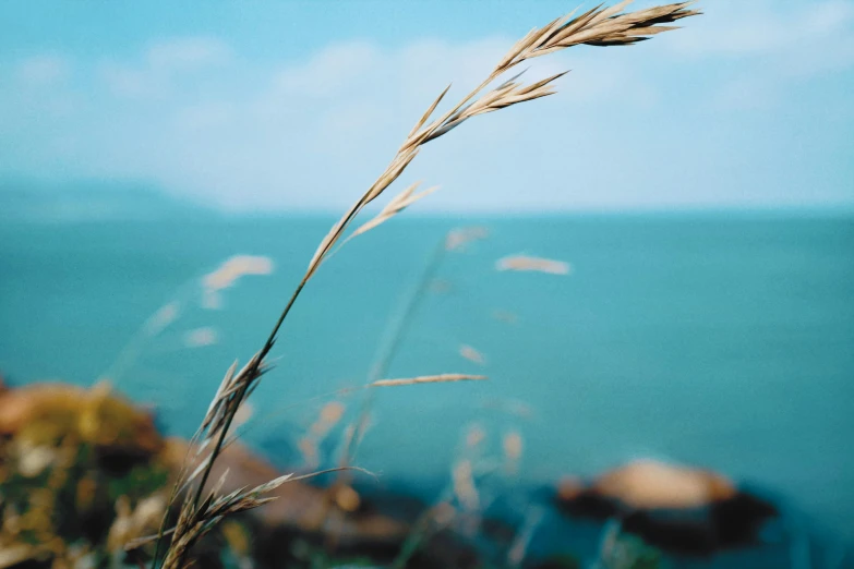 some grass and water are seen from a rocky hill side