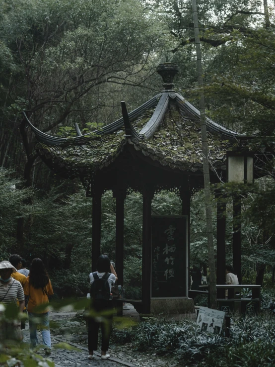 people standing in a lush green park with trees