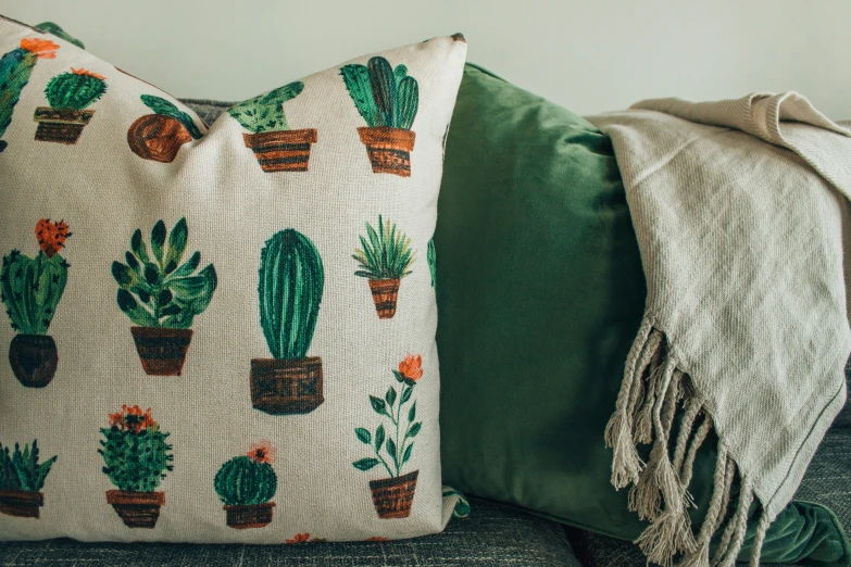 a throw pillow on top of a couch with a potted cactus design