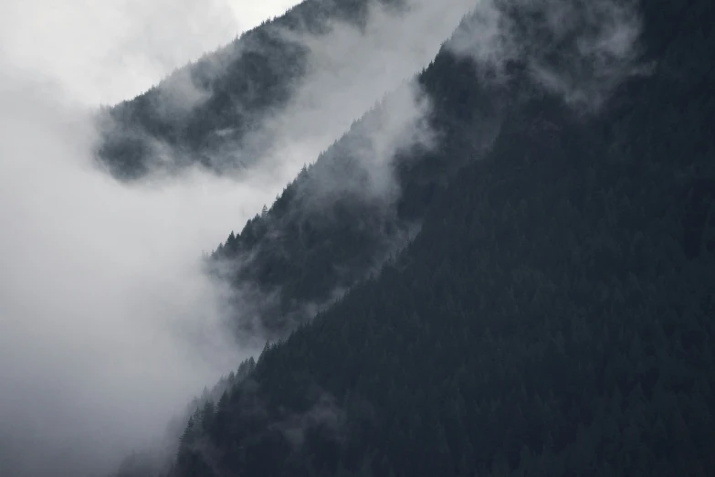 a mountain with pine trees shrouded in fog