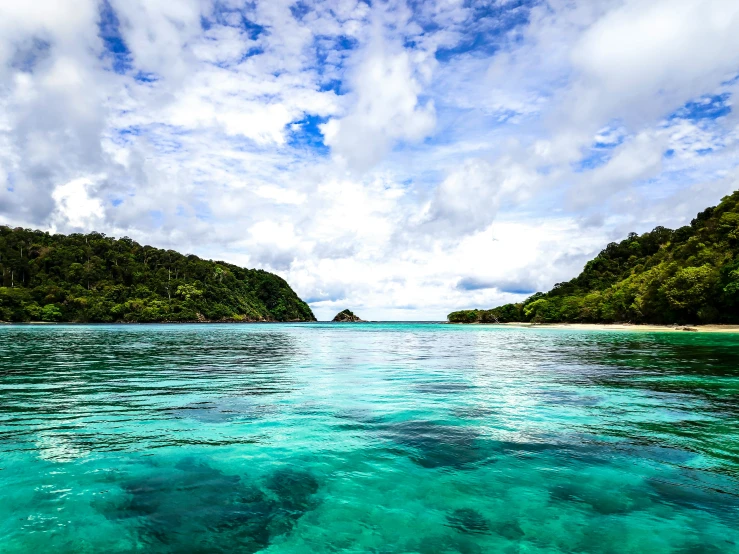 the water and trees have a clear blue sky