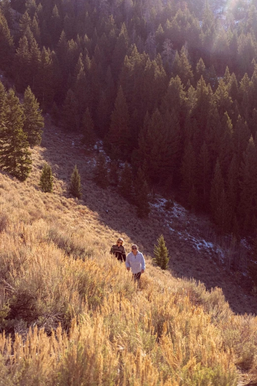 a man with his dog treks up a mountain slope