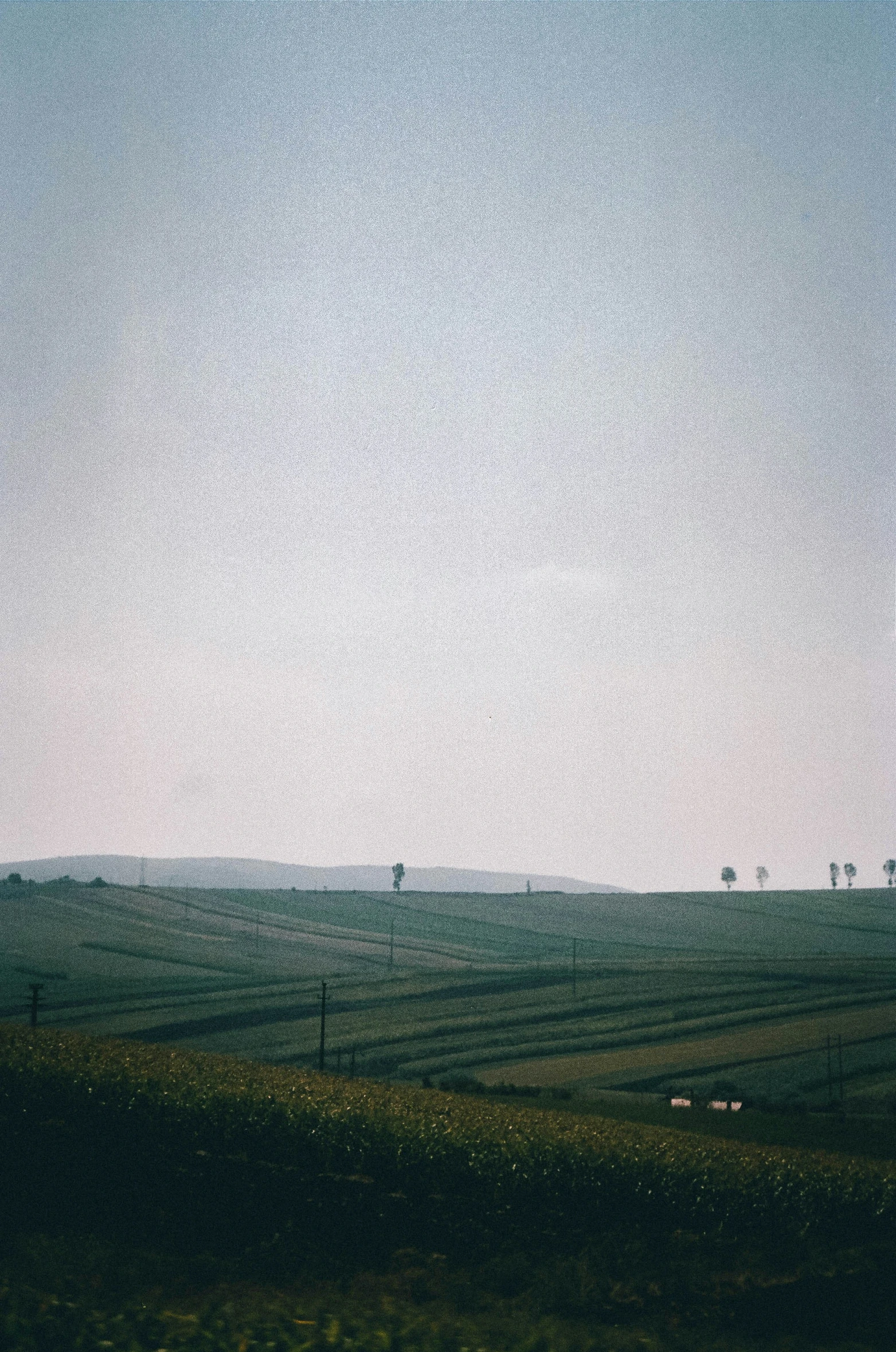 a view of a lush green valley under a blue sky