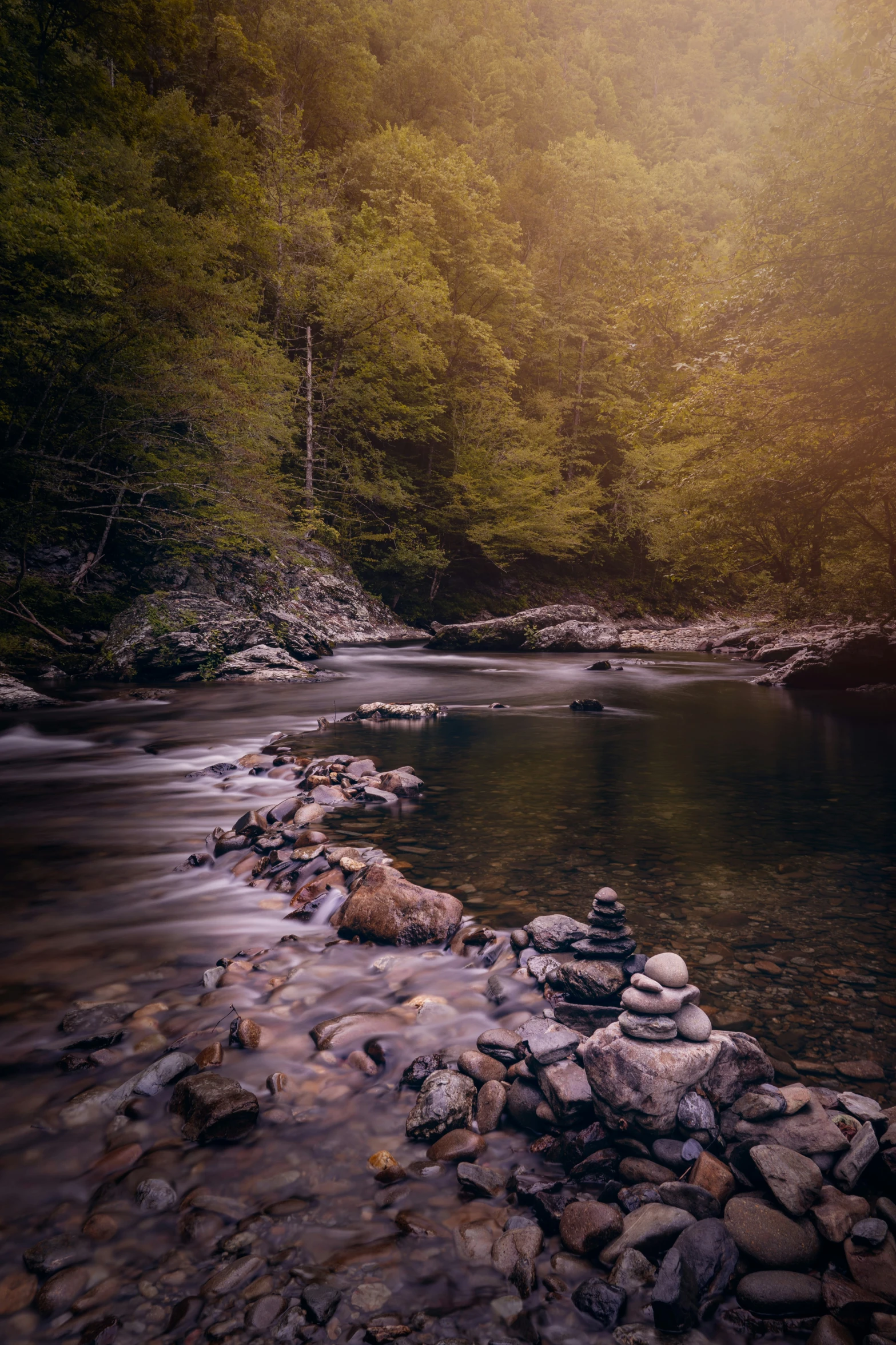 a small river in the middle of a green forest