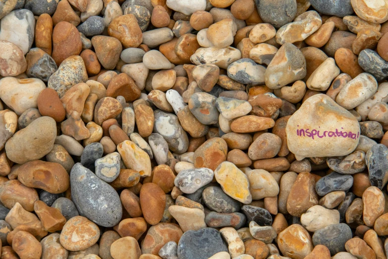 a rock garden with some very small rocks