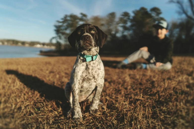 dog with green collar sitting next to man on grass