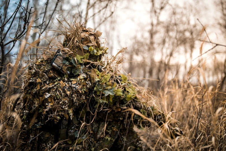 a pile of garbage sitting in the middle of a forest