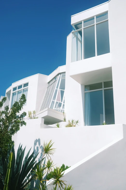 a white building that has a plant and potted plant in the front