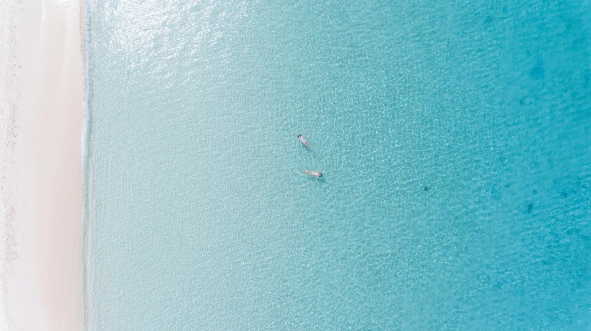 two people swimming in the middle of the ocean