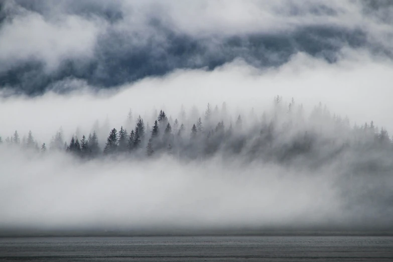 a fog filled landscape with trees and water