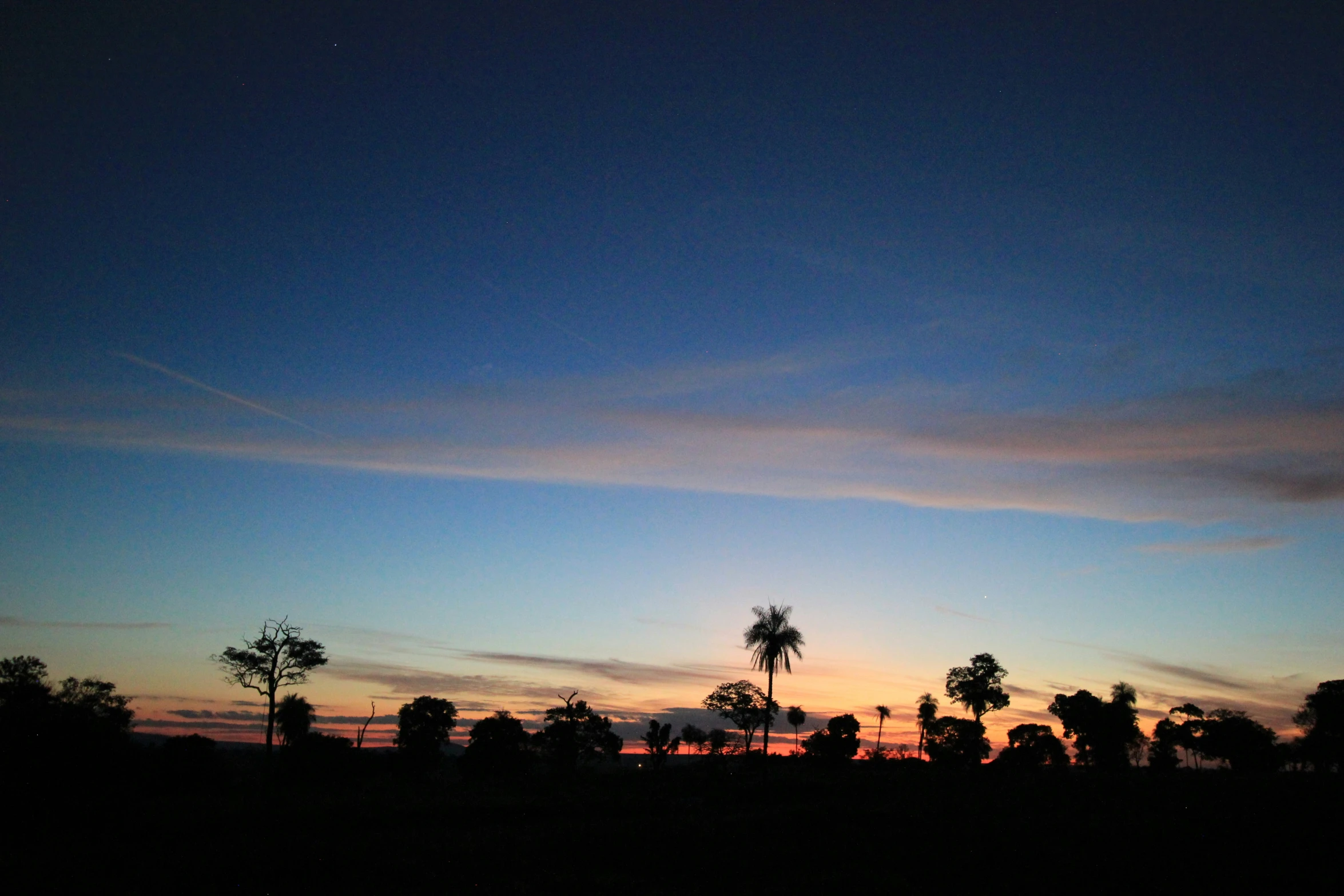 the sky has clouds and some trees with no leaves