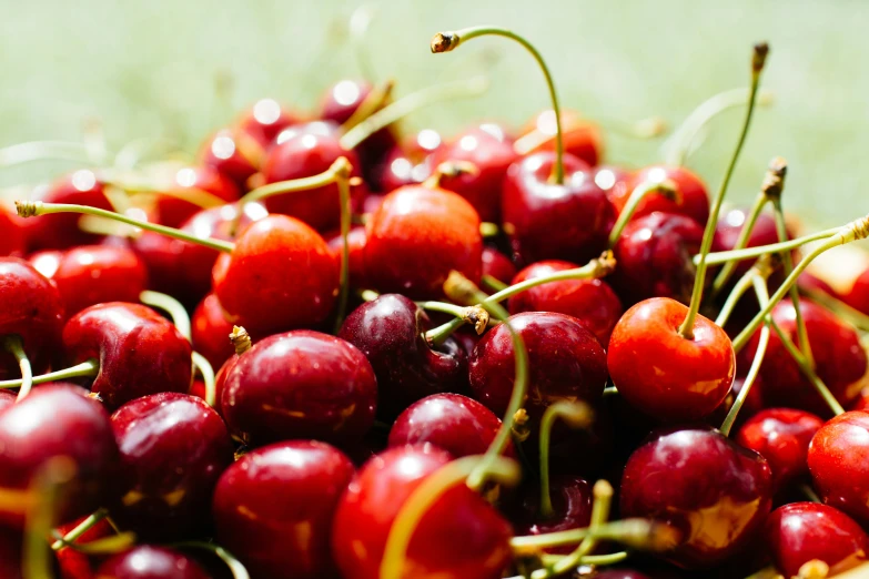 a plate full of cherries with the stems still attached