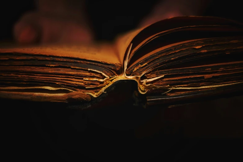 an open book with pages that are brown and gold