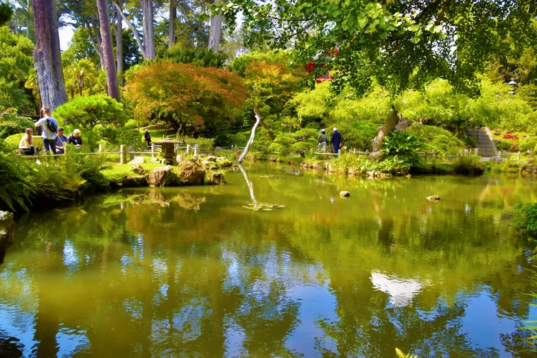 the pond has rocks around it and leaves on the ground