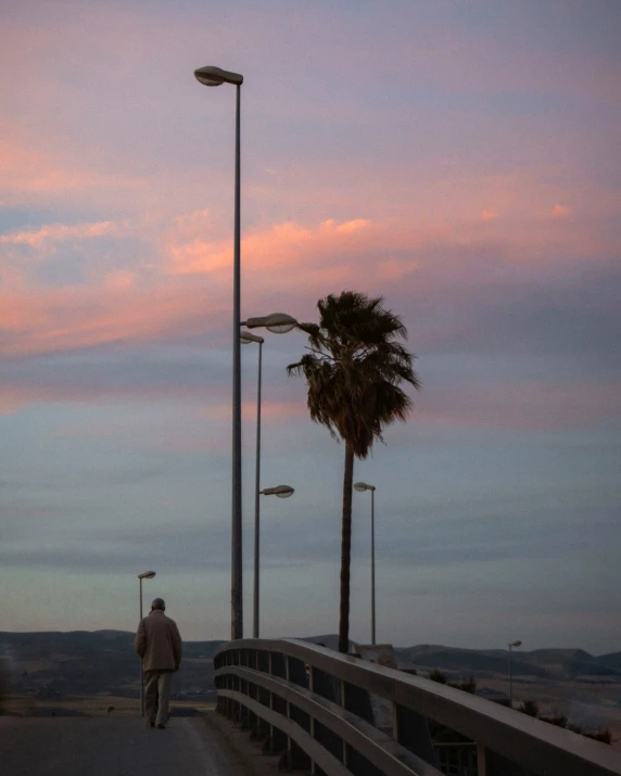 the man is walking across the bridge with palm trees behind him