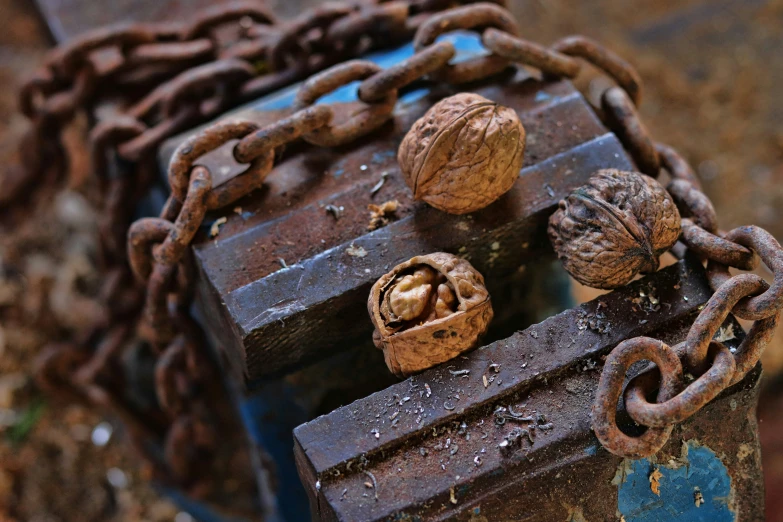 there are nuts in the shape of a bench on a rusty chain