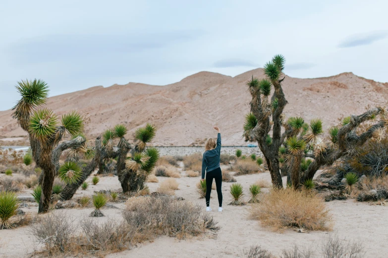 a woman is standing in the desert with trees