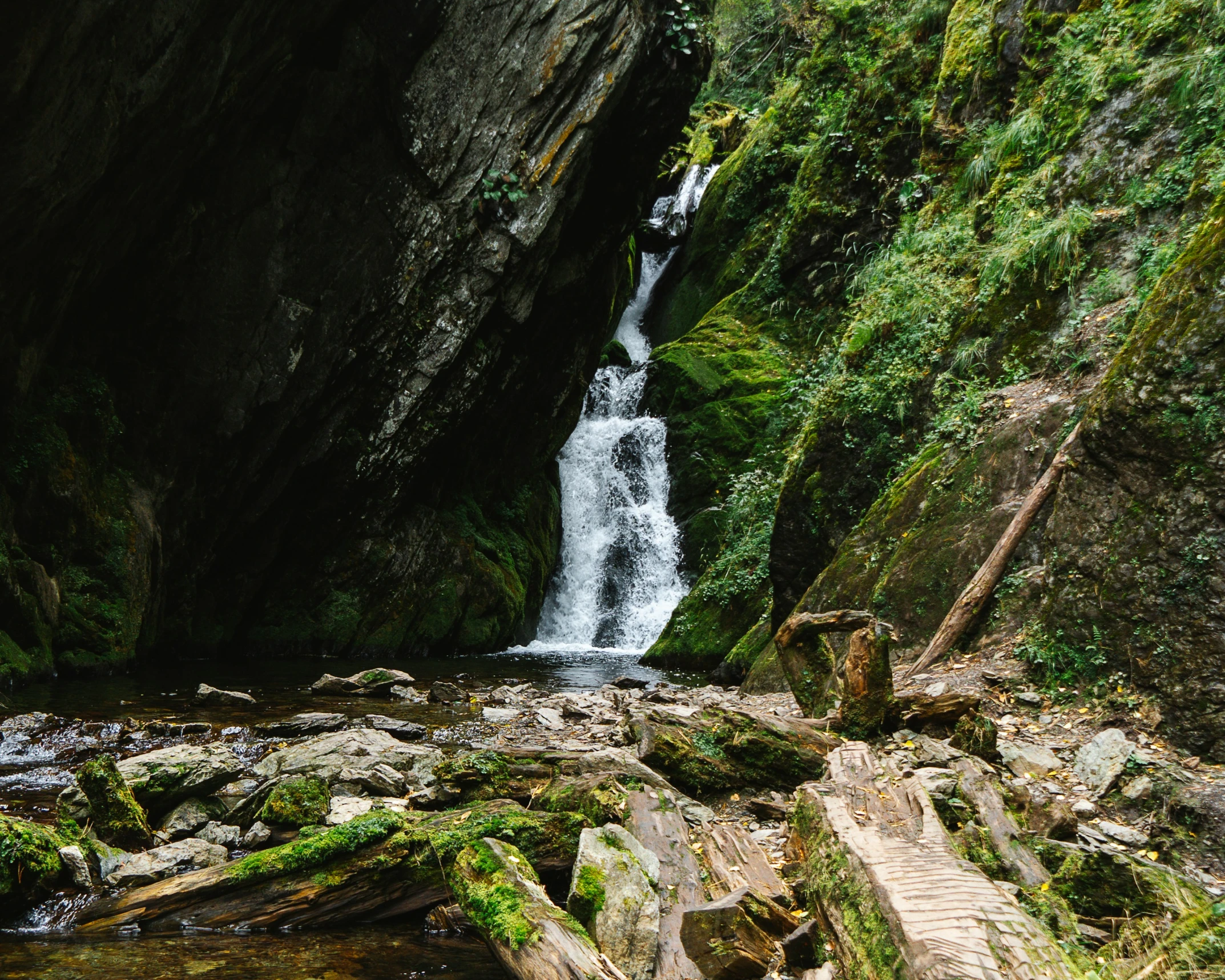 a stream of water with lots of mossy rocks