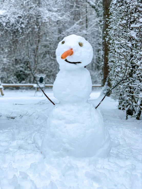 a snowman stands in the middle of a forest