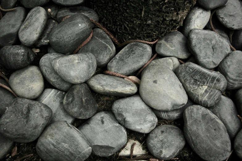 large rocks piled in between two logs