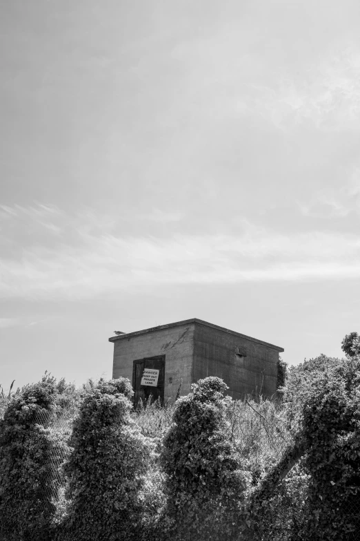 black and white po of tall clock tower over bushes