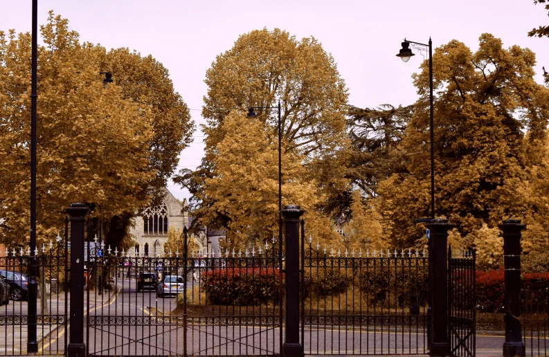 an iron fence that is along a street with yellow trees in the background