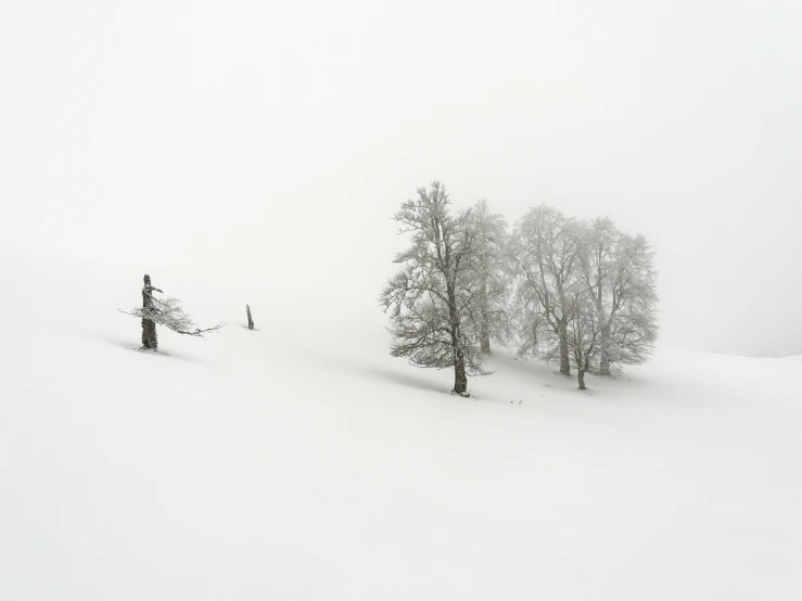 three snowboarders in the woods on a foggy day