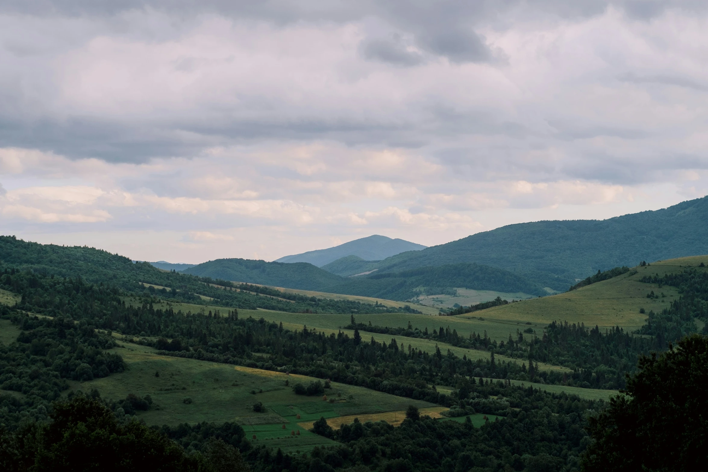 there is a large hillside and trees in the valley